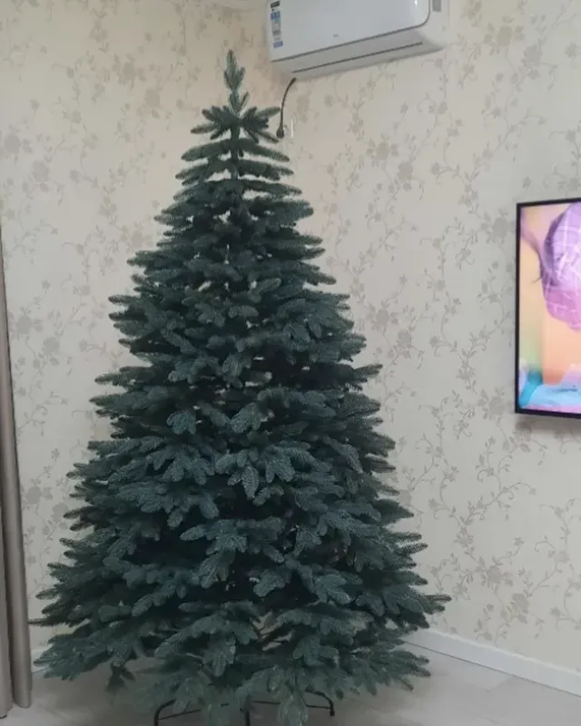 Литая голубая ель в квартире покупателя